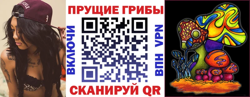сайты даркнета формула  как найти закладки  Салаир  Псилоцибиновые грибы мухоморы 